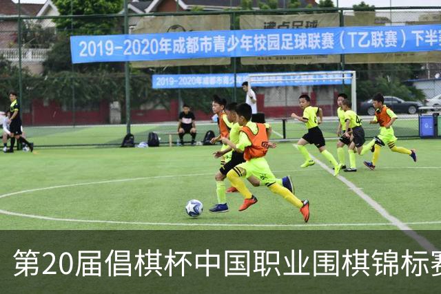 第20届倡棋杯中国职业围棋锦标赛北京开幕