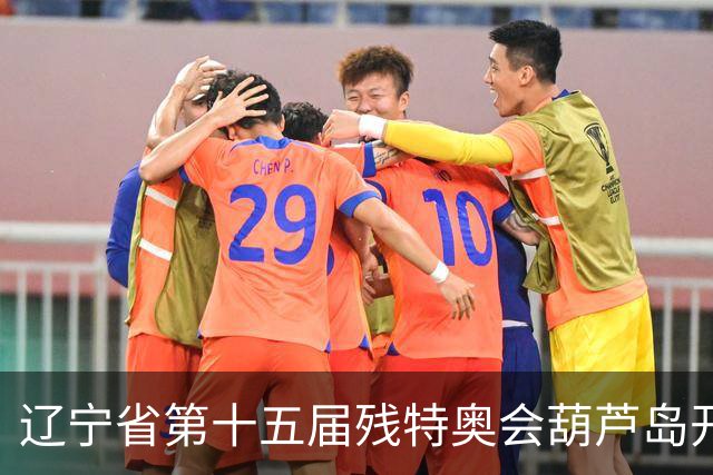 辽宁省第十五届残特奥会葫芦岛开赛 356名健儿参与角逐